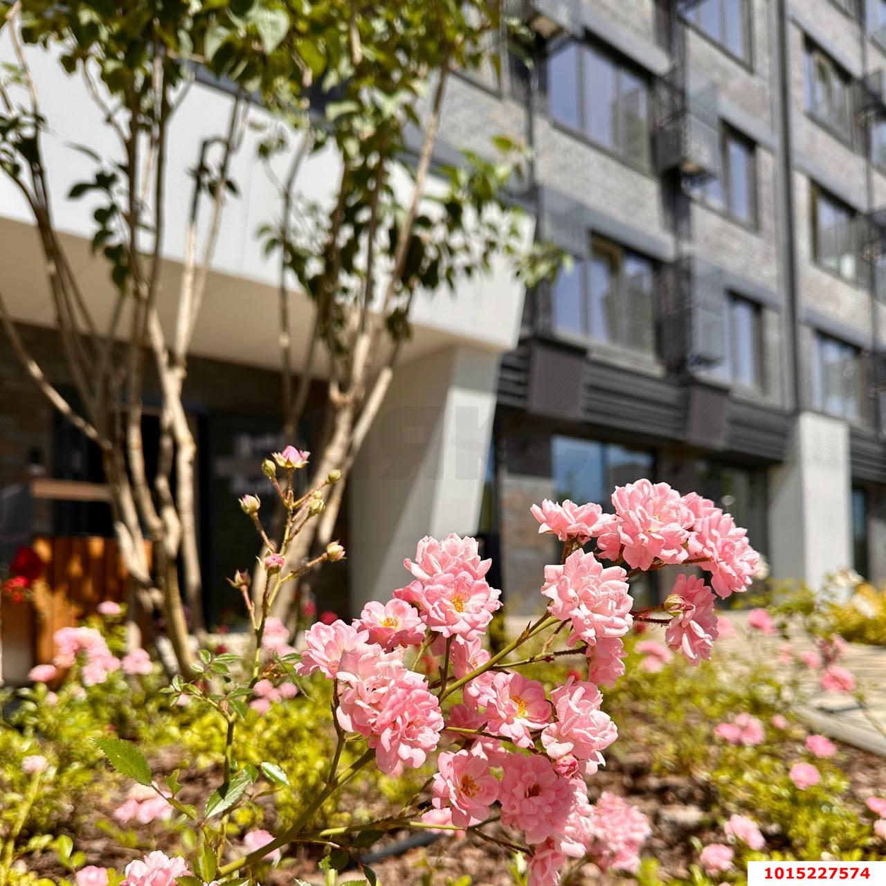 Фото №10: 1-комнатная квартира 35 м² - Краснодар, Черёмушки, ул. Обрывная, 132/1