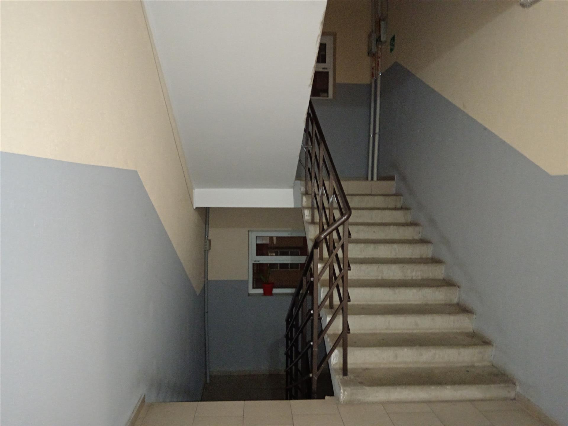 Фото №12: 1-комнатная квартира 35 м² - Берёзовый, Прикубанский внутригородской округ, мкр. Витаминкомбинат, 7/36к2