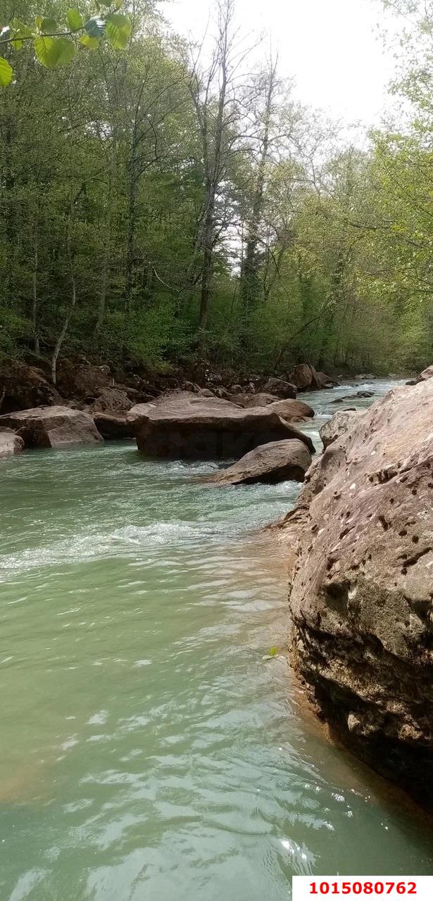 Фото №4: Готовый бизнес 1199 м² - Планческая Щель, ул. Горная, 1