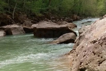 Фото №4: Готовый бизнес 1199 м² - Планческая Щель, ул. Горная, 1