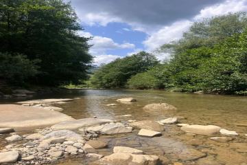 Фото №4: Земельный участок 15 сот. - Молдавановка, ул. Заречная, 14