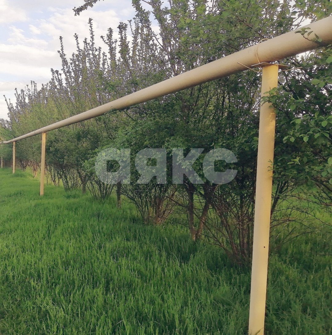 Фото №4: Дача 25 м² + 6.5 сот. - Армавир, СНТ Заря Востока, пр-д Прочный, 7