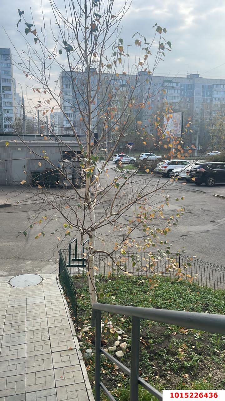 Фото №8: Студия 20 м² - Краснодар, Западный внутригородской округ, мкр. Юбилейный, пр-кт Чекистов, 15