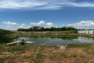 Фото №2: Дом 53 м² - Ивановская, ул. Краснолесская, 32