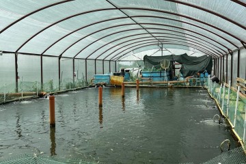 Фото №4: Дом 53 м² - Ивановская, ул. Краснолесская, 32