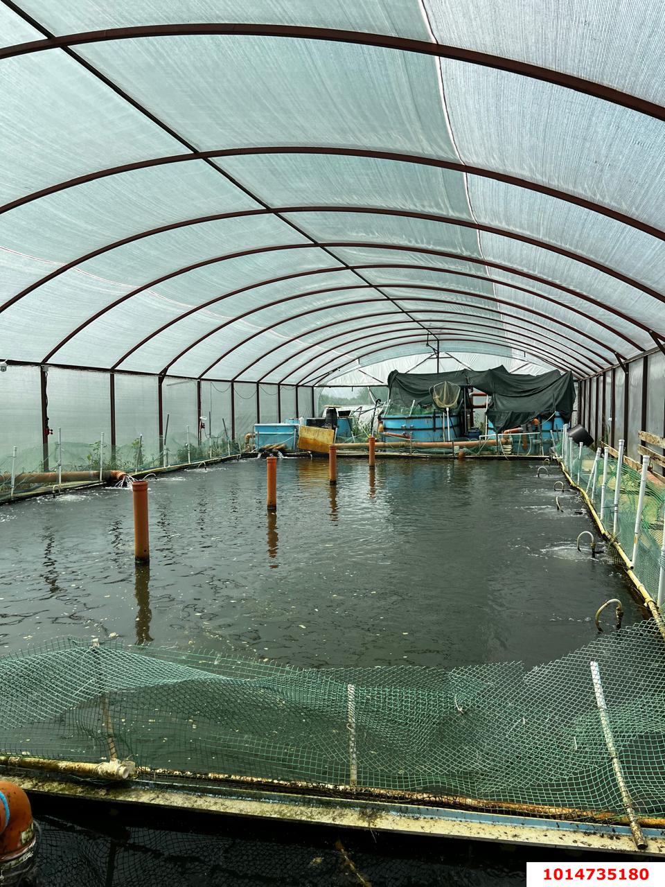 Фото №4: Дом 53 м² + 60 сот. - Ивановская, ул. Краснолесская, 32