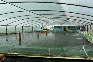 Фото №4: Дом 53 м² - Ивановская, ул. Краснолесская, 32