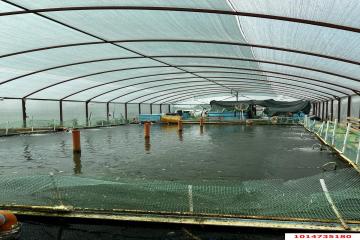 Фото №4: Дом 53 м² - Ивановская, ул. Краснолесская, 32