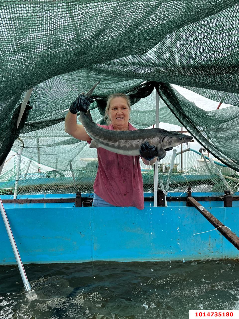 Фото №5: Дом 53 м² + 60 сот. - Ивановская, ул. Краснолесская, 32