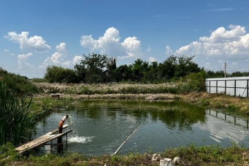 Фото №2: Дом 53 м² - Ивановская, ул. Краснолесская, 32