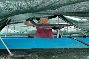 Фото №5: Дом 53 м² - Ивановская, ул. Краснолесская, 32