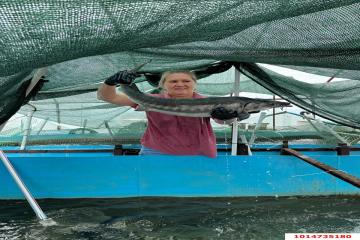 Фото №5: Дом 53 м² - Ивановская, ул. Краснолесская, 32