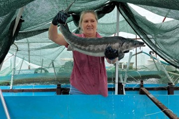 Фото №5: Дом 53 м² - Ивановская, ул. Краснолесская, 32