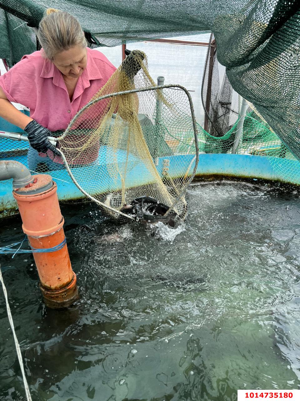 Фото №6: Дом 53 м² + 60 сот. - Ивановская, ул. Краснолесская, 32