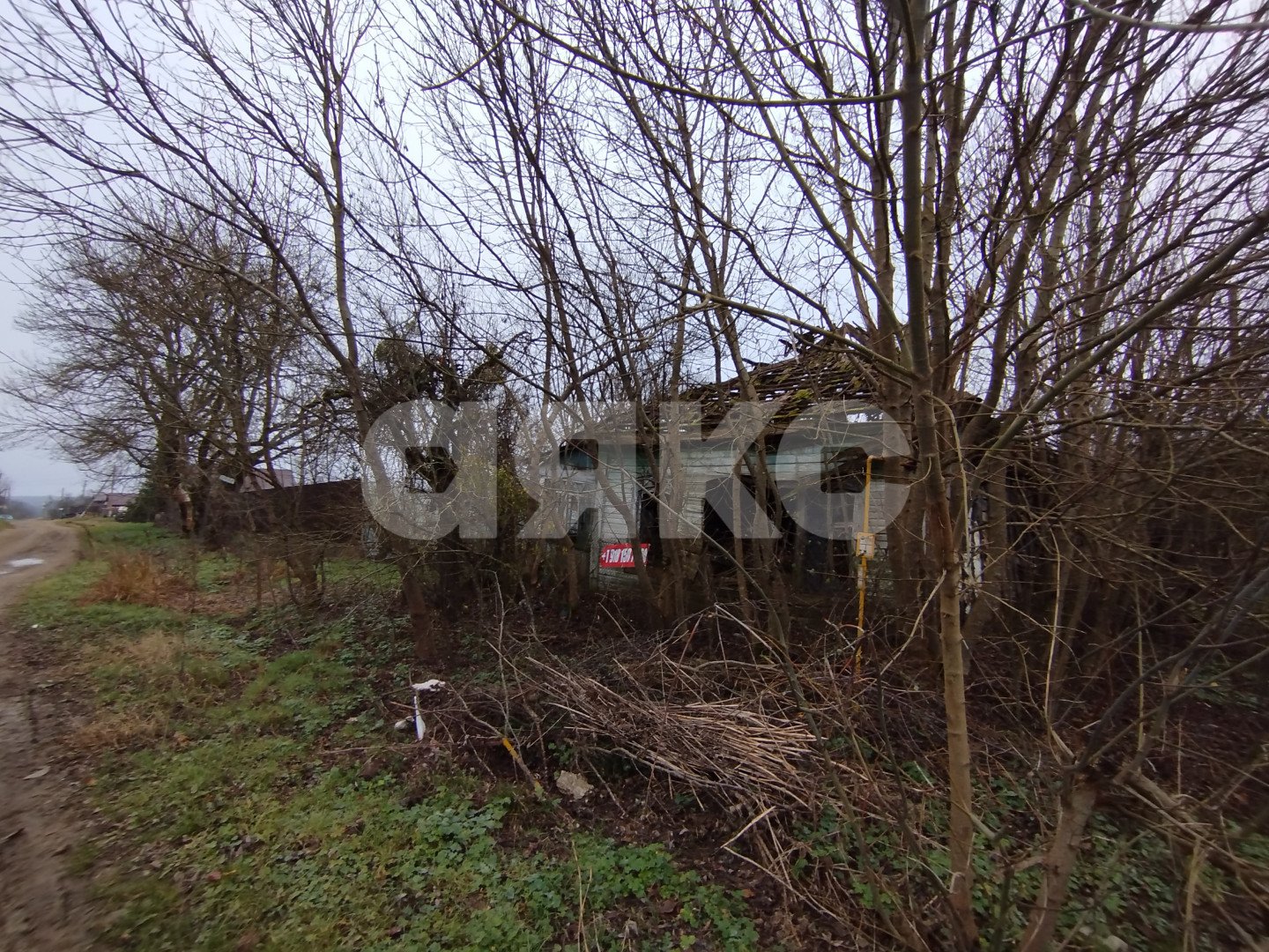 Фото №6: Личное подсобное хозяйство 17 сот. - Кутаисская