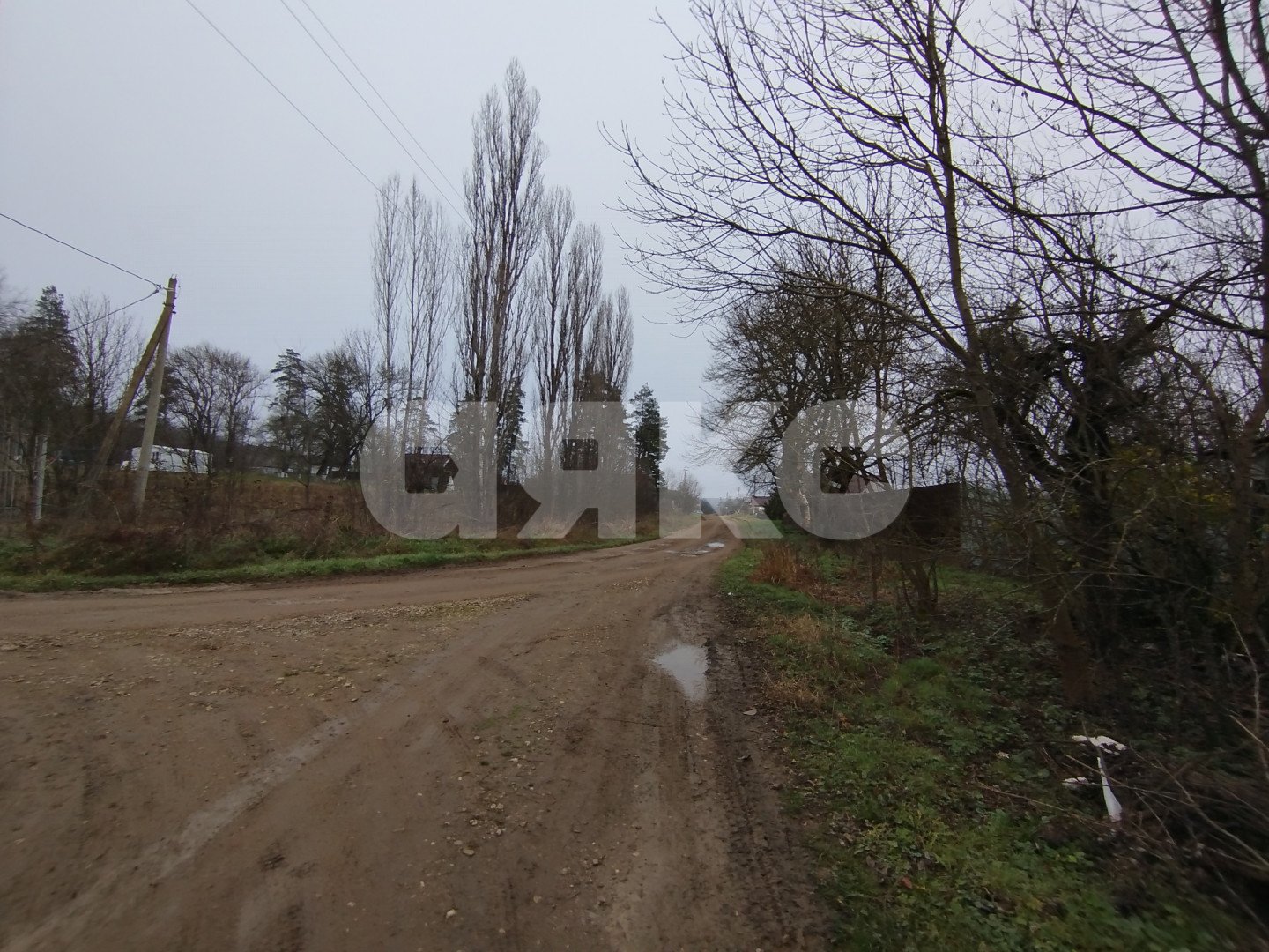 Фото №2: Личное подсобное хозяйство 17 сот. - Кутаисская