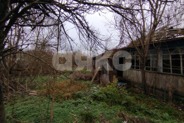 Фото №5: Личное подсобное хозяйство - Кутаисская, 