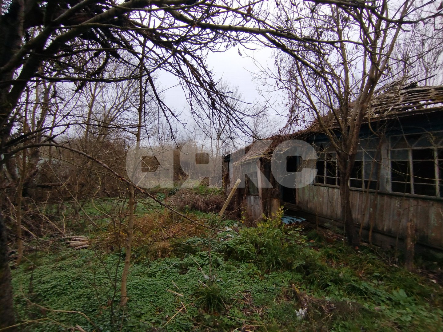 Фото №5: Личное подсобное хозяйство 17 сот. - Кутаисская