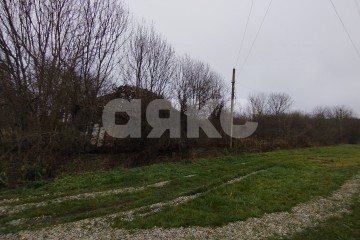 Фото №4: Личное подсобное хозяйство - Кутаисская, 