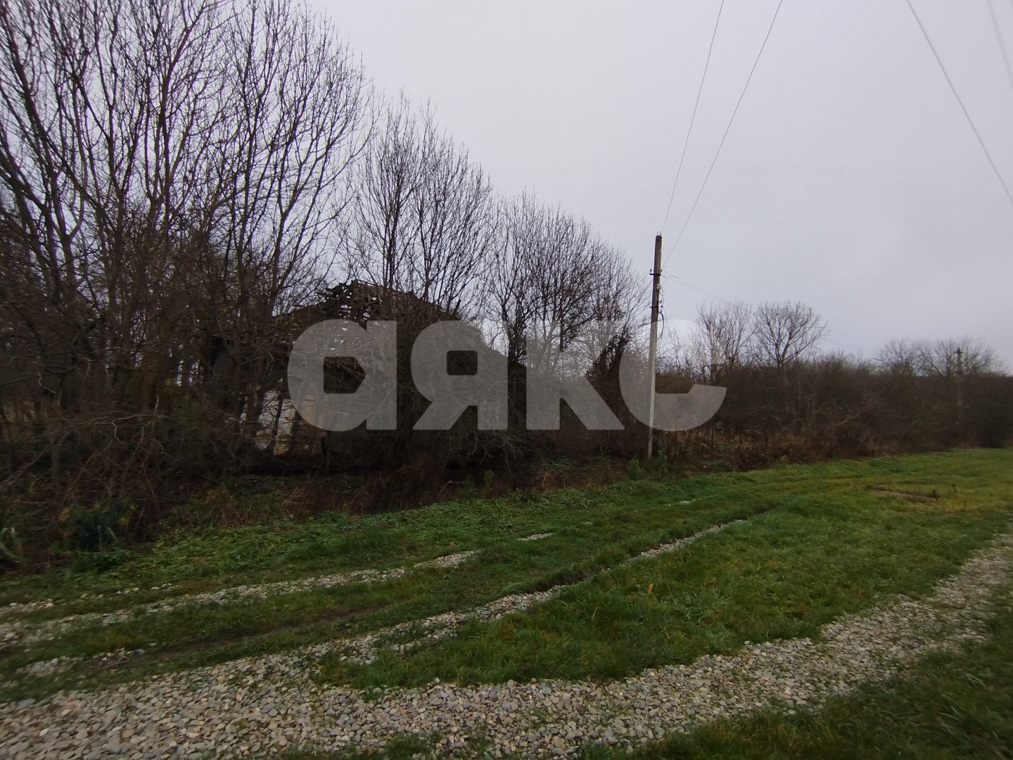 Фото №4: Личное подсобное хозяйство 17 сот. - Кутаисская