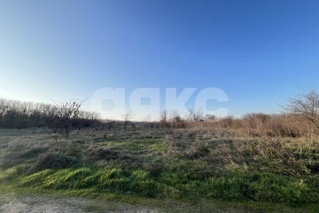 Фото №5: Земельный участок под ИЖС - Коноково, ул. Мира