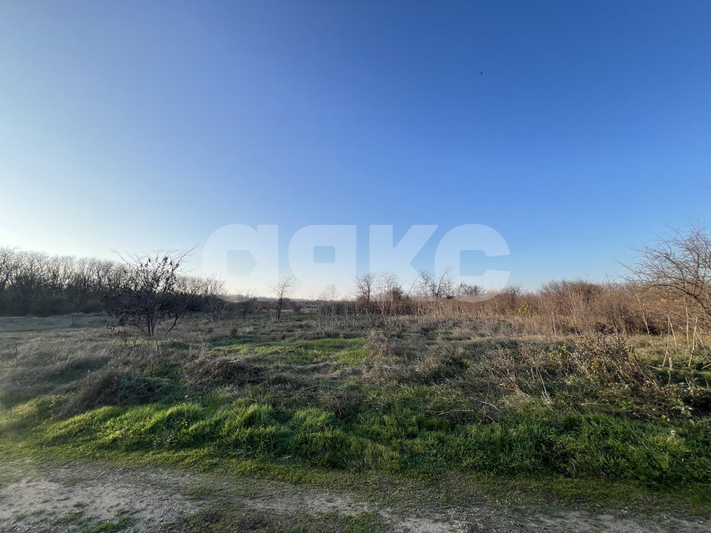 Фото №5: Земельный участок под ИЖС 15 сот. - Коноково, ул. Мира