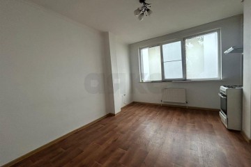 Фото №3: 1-комнатная квартира 43 м² - Новая Адыгея, мкр. жилой комплекс Тургеневский Двор, ул. Тургеневское шоссе, 1к2