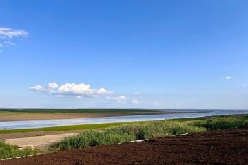 Фото №2: Земельный участок 33 сот. - Старокорсунская, мкр. ДНТ Прибрежный, ул. 10-я Викторианская