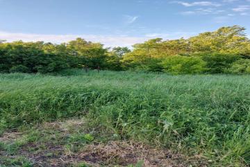 Фото №3: Земельный участок 6 сот. - Горячий Ключ, мкр. Браславец, ул. Степная