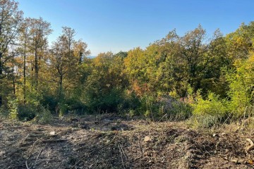 Фото №2: Земельный участок под ИЖС 9 сот. - Ольгинка, мкр. Ореховая Роща, 15