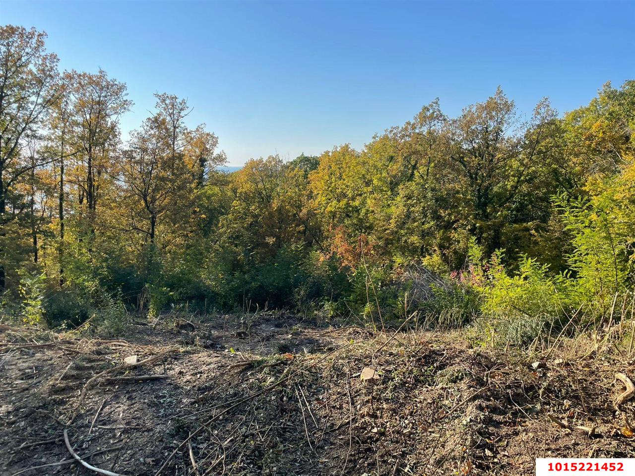 Фото №2: Земельный участок под ИЖС 9 сот. - Ольгинка, Ореховая Роща, 15