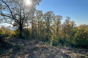 Фото №3: Земельный участок под ИЖС 9 сот. - Ольгинка, мкр. Ореховая Роща, 15