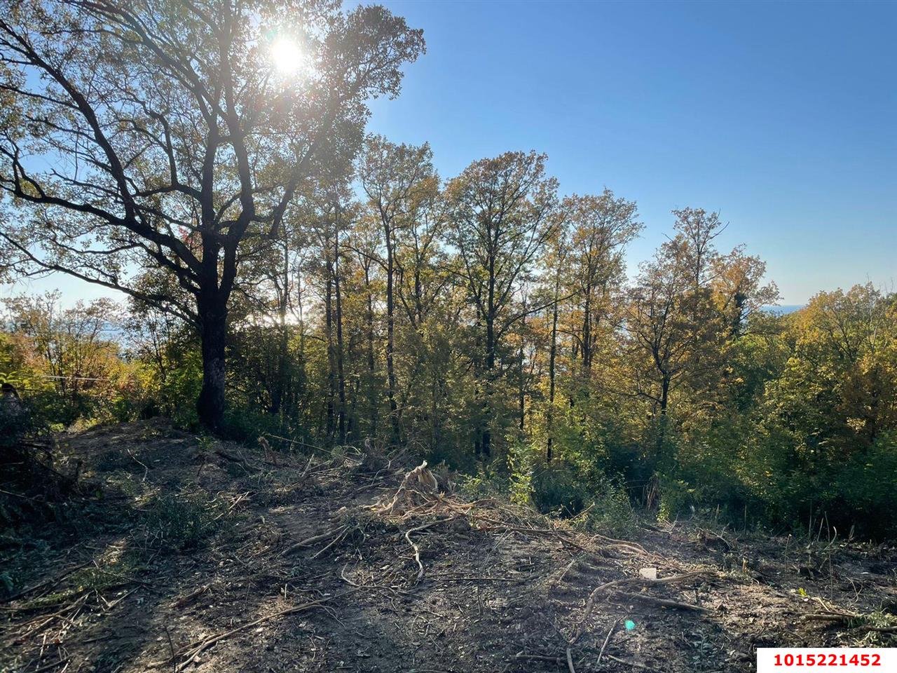 Фото №3: Земельный участок под ИЖС 9 сот. - Ольгинка, Ореховая Роща, 15