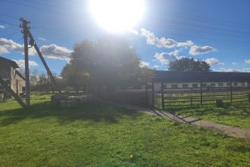 Фото №5: Коммерция 5875 м² - Львовское, пер. Сквозной, 2