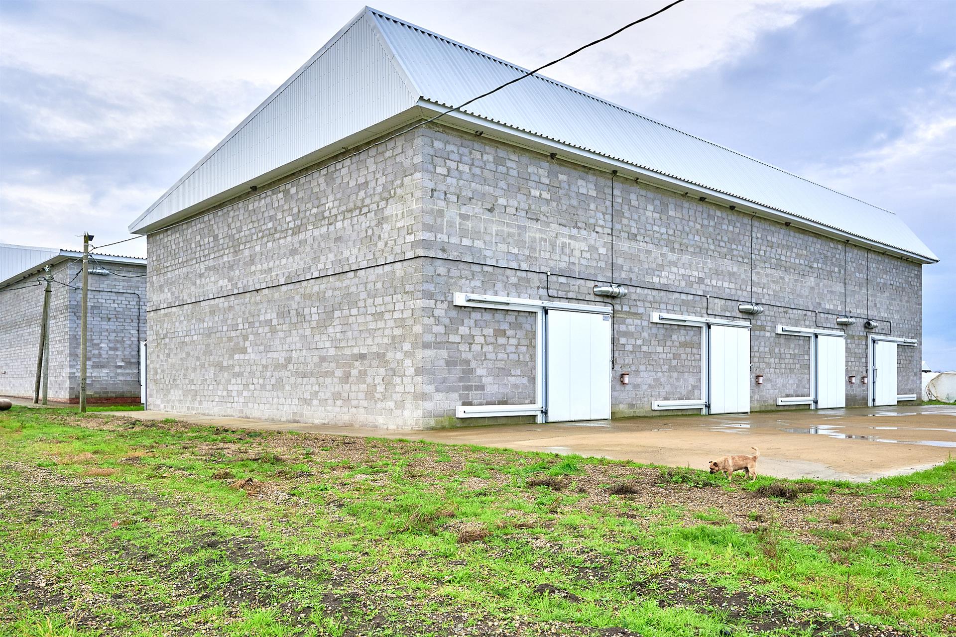 Фото №10: Коммерция 575 м² - Новодмитриевская, ул. Партизанская, 44