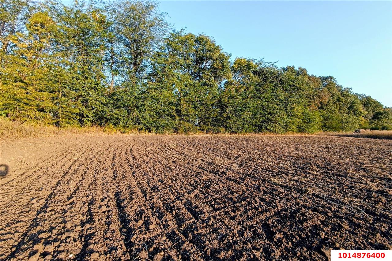 Фото №3: Земельный участок под ИЖС 31 сот. - Тлюстенхабль