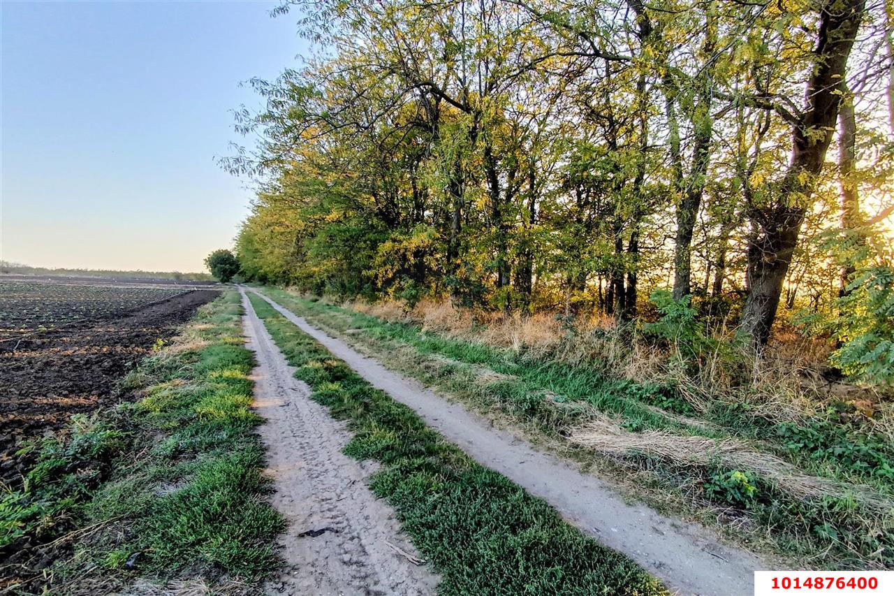 Фото №6: Земельный участок под ИЖС 31 сот. - Тлюстенхабль