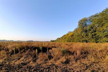 Фото №4: Земельный участок 31 сот. - Тлюстенхабль, 