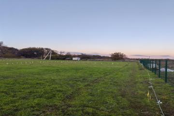 Фото №3: Коммерция 5 м² - Виноградный, ул. Полевая, 3