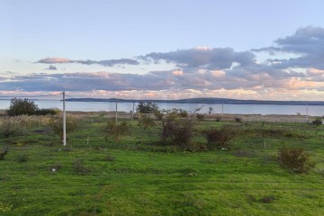 Фото №2: Личное подсобное хозяйство 5 сот. - Виноградный, ул. Полевая, 3