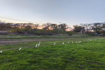 Фото №4: Коммерция 5 м² - Виноградный, ул. Полевая, 3