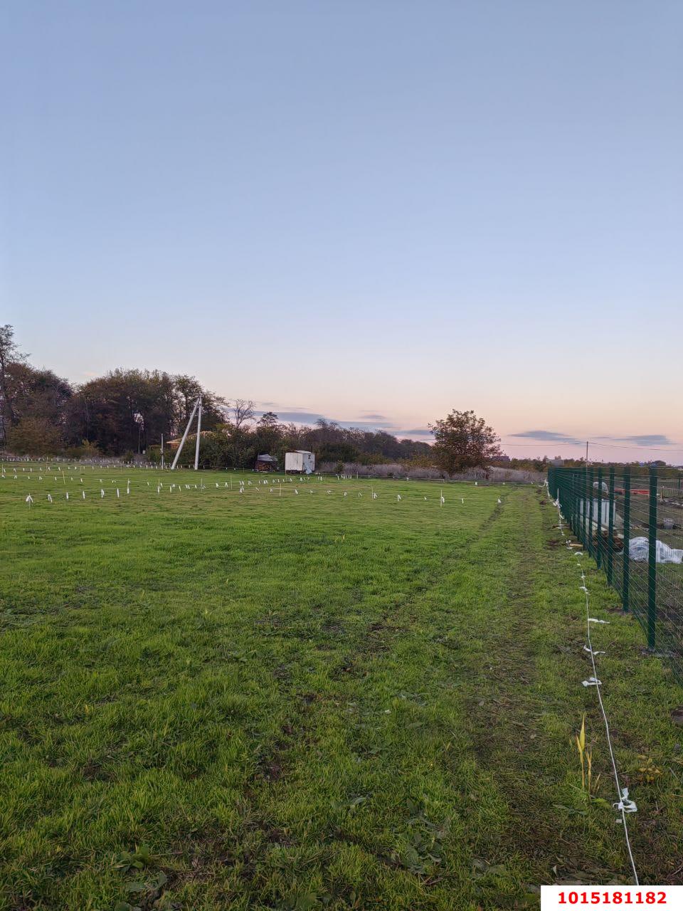 Фото №3: Личное подсобное хозяйство 5 сот. - Виноградный, ул. Полевая, 3