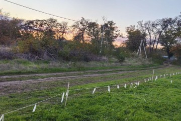 Фото №4: Личное подсобное хозяйство 5 сот. - Виноградный, ул. Полевая, 3