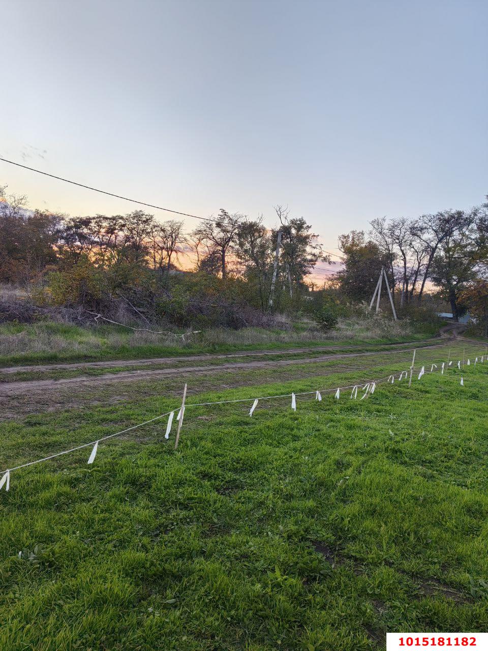 Фото №4: Личное подсобное хозяйство 5 сот. - Виноградный, ул. Полевая, 3