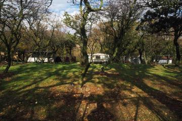 Фото №3: Земельный участок 10.11 сот. - Малый Утриш, ул. Малоутришская