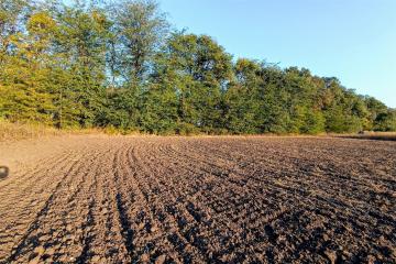 Фото №3: Земельный участок 40 сот. - Тлюстенхабль, 