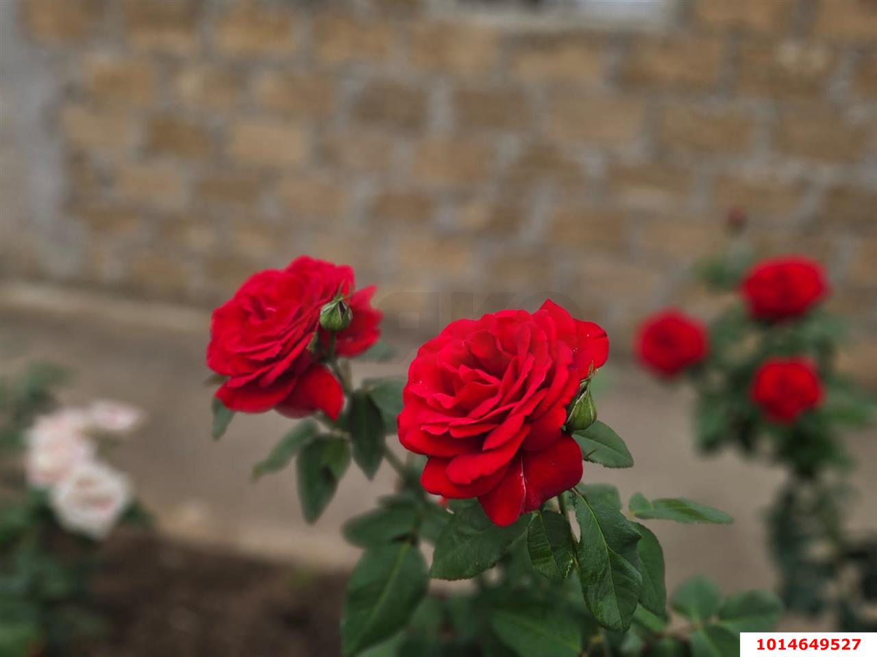 Фото №17: Дом 94 м² + 25 сот. - Уварово, ул. Садовая, 35