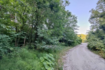 Фото №3: Участок садоводство 4.33 сот. - СТ Байкал, 11