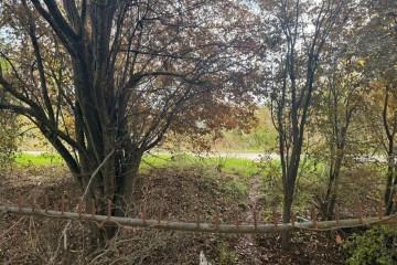 Фото №2: Участок садоводство 6 сот. - Елизаветинская, ст Кубань-2, ул. Ореховая, 21