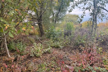 Фото №4: Участок садоводство 6 сот. - Елизаветинская, ст Кубань-2, ул. Ореховая, 21